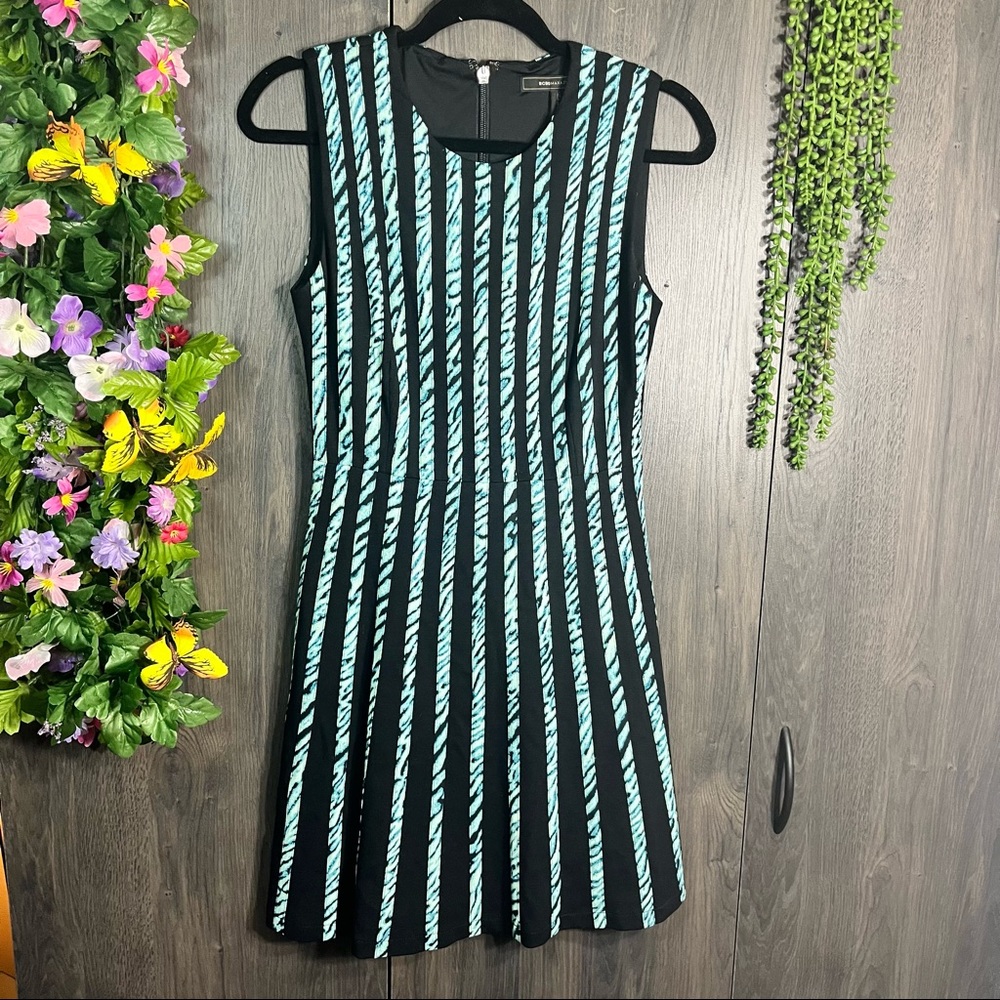 °BCBGMaxAzria Sleeveless Stripped Fit & Flare Dress Size XS - Picture 2 of 16